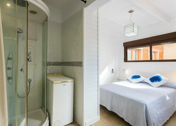 Estudios Ramon Llull * Dénia